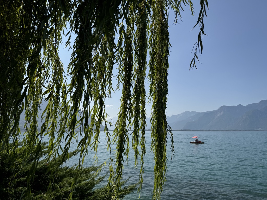 Lake with stand up paddlers